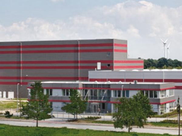 NDKW plant.jpg